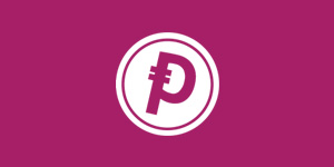 logo parasino