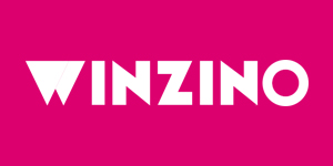 logo winzino