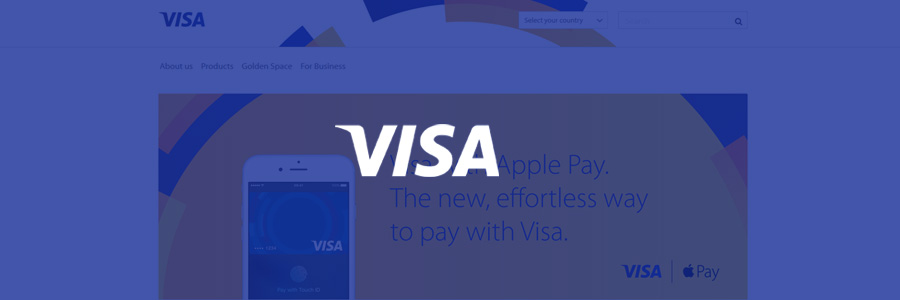 visa preview
