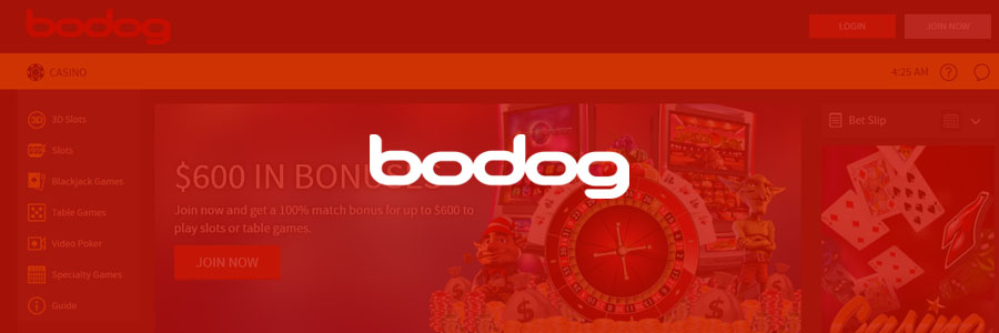 bodog casino