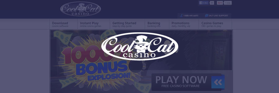 cool cat casino