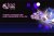 Crazy Vegas Casino new slot bonanza