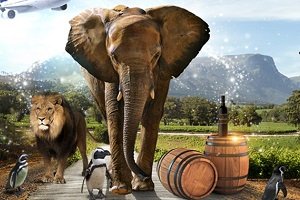 Win a safari trip or a share of £15,000 at Roxy Palace Casino