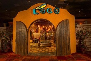 Start on the right foot with Casino Loco Bonuses and free spins