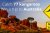 Claim Chanz Casino’s Chamber of Free Spins
