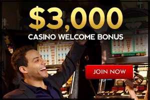 Bovada Casino adds new bird themed slot
