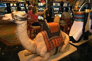 Super Spins have arrived at Camel Casino