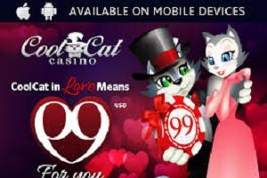 Fun days ahead at Cool Cat Casino