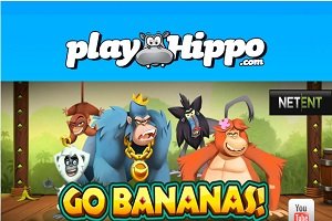 PlayHippo has 1799 free spins for you